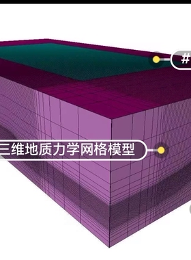 Petrel visage视频教学 内容包括视频 文档教程 模型数据 ppt