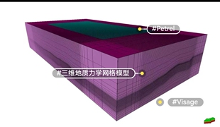 Petrel visage视频教学 内容包括视频 文档教程 模型数据 ppt