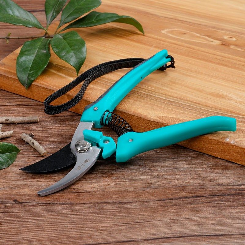 张小泉春悦润系列整枝剪修枝修剪果树园林枝剪花剪剪树枝专用剪刀,个性定制/设计服务/DIY,明信片定制,淘宝优惠券,粉丝福利购,淘宝优惠卷