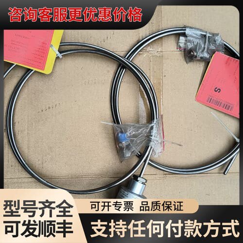 议价DURR杜尔温度传感器，热电偶可维修