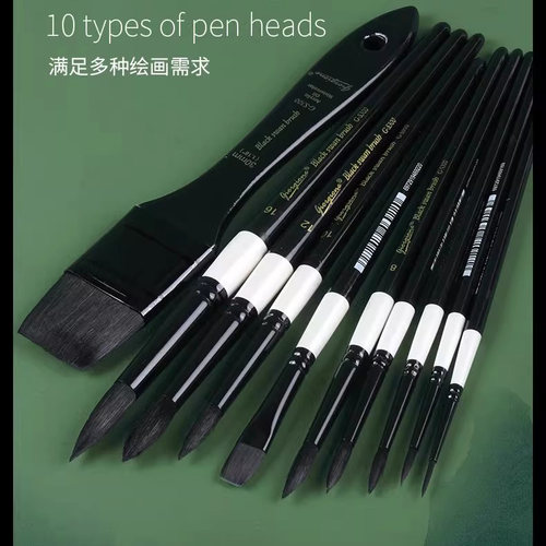 乔尔乔内黑天鹅水彩画笔