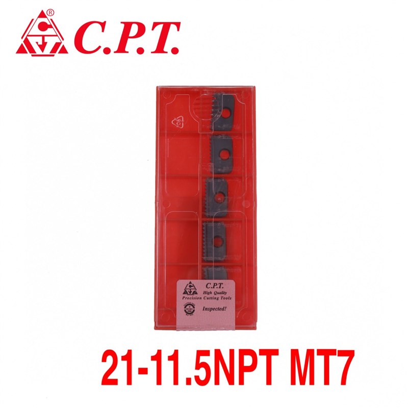 CARMEX卡迈斯CPT 21-11.5NPT MT7