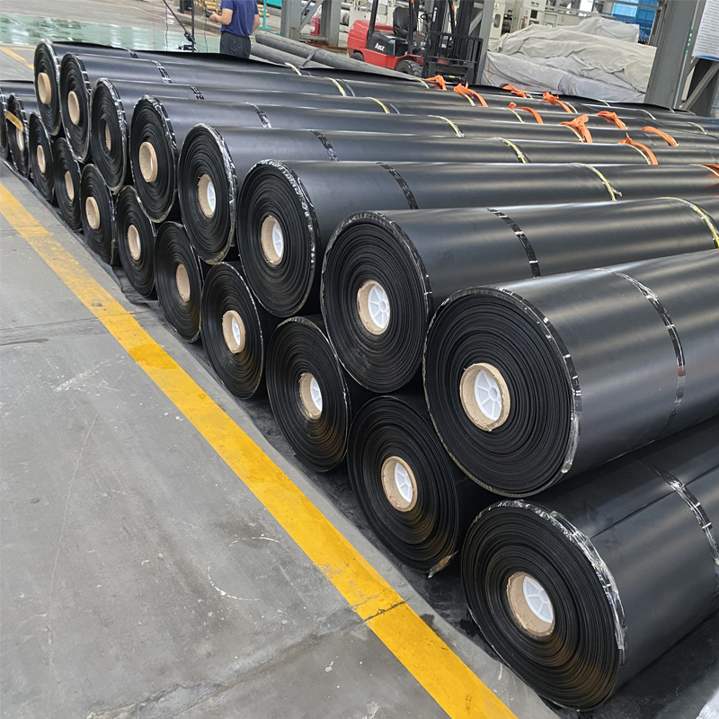 鱼塘防渗膜蓄水池防水布鱼池塑料黑膜防漏养殖护坡加厚土工膜