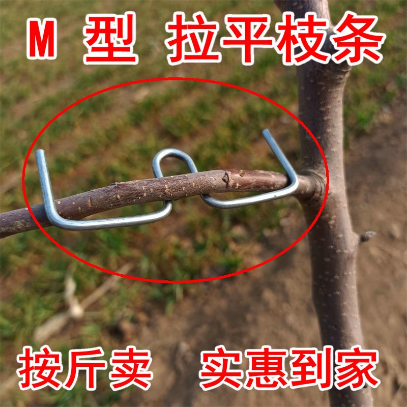 果树别枝器压枝定型开角拉枝园农用园艺工具果树拉平柑橘石榴