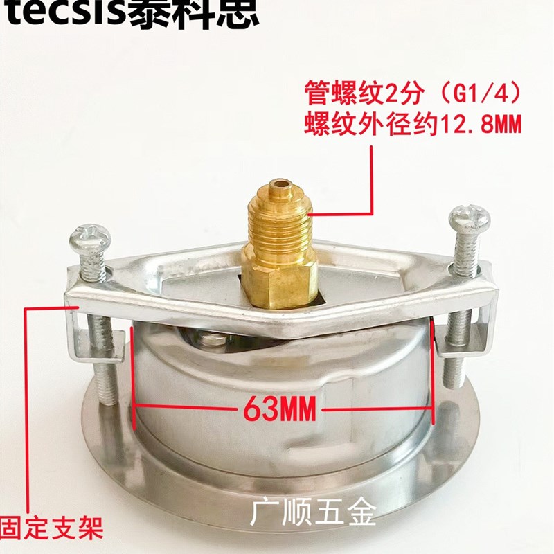 德国进口泰科思tecsis油压表抗震压力表31.5/25/40Mpa径向1/4牙