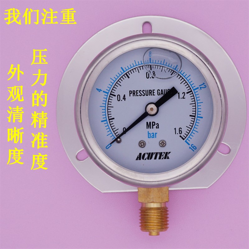 径向带边 充油 防震 抗震 船用耐震压力表YN60T 1.6MPA M14*1.5