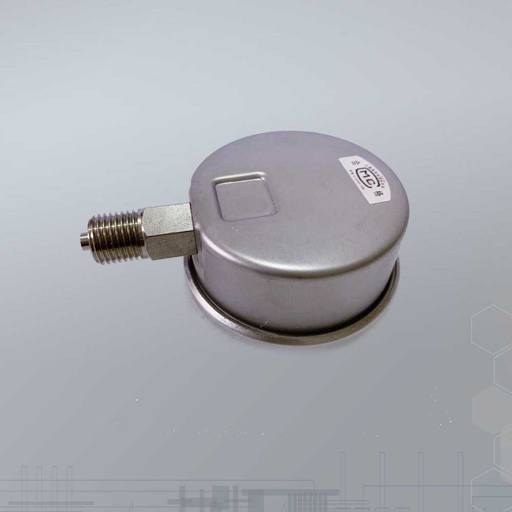 BLD北京布莱迪压力表YTNH-63 全不锈钢耐震压力表 径向 M14*1.5