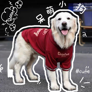 大狗狗新年衣服秋冬款加绒加厚金毛红色衣服拉布拉多德牧中大型犬