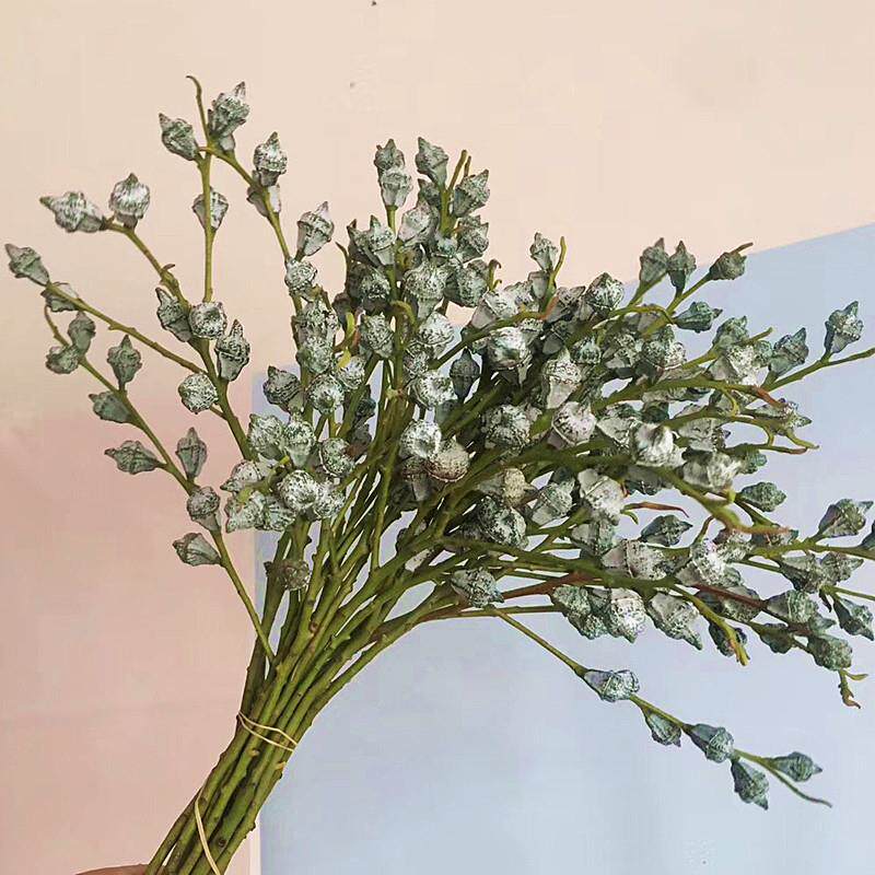 尤加利果鲜花干尤加利叶细插花干花束装饰腊梅配花手工花店婚礼用