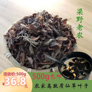 仙草全叶福建仙草干仙草叶子黑凉粉龟苓膏仙草冻烧仙草原材料精选