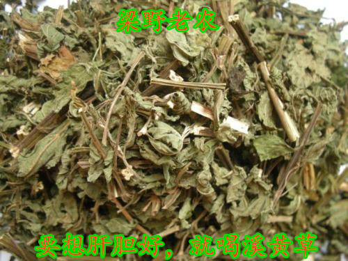 野生泡水溪黄茶包邮