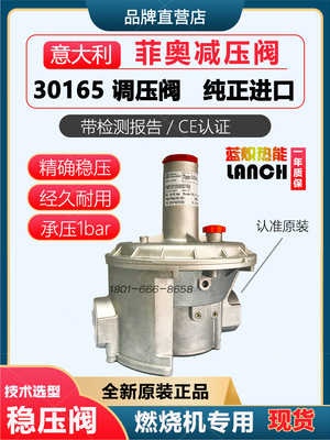 Fiorentini燃气减压阀
