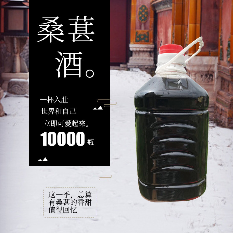 桑葚酒特级自酿新鲜桑果浸泡纯粮食米酒水果酒桶装低度果酒桑椹酒