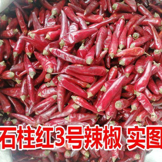 新货石柱红3号5号辣椒500克净重包邮干辣椒段丝粉面火锅麻辣香锅