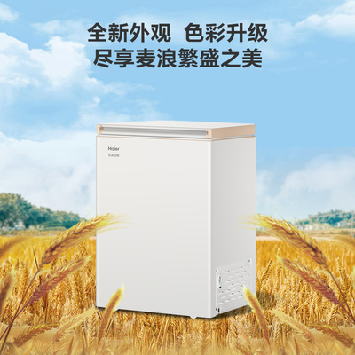 【重磅新品】海尔麦浪冰柜家用小型100/200升冷藏冷冻柜两用冷柜