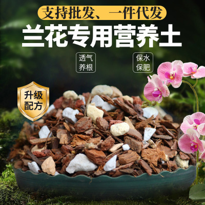 Orchid soil cultivation, orchid plant materials, nutrient so