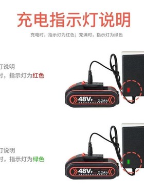 洗车机锂电池充电器24V25V48V168V998VF高压无线洗车枪通用充电线