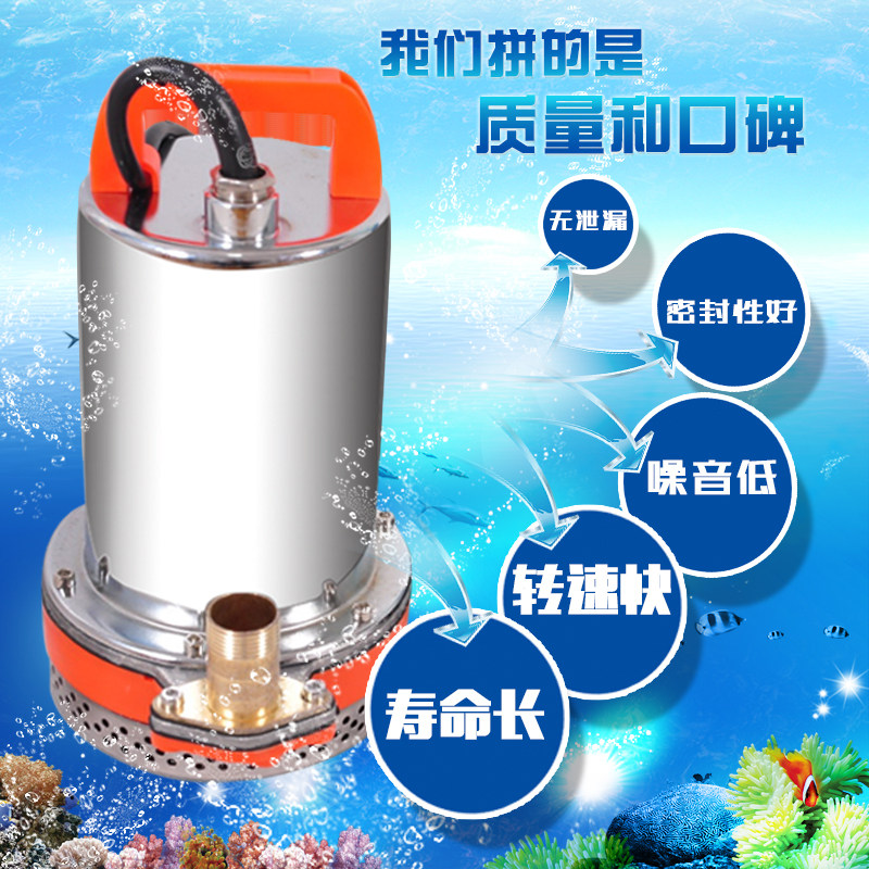 充电泵直流泵电瓶泵12V24V48V600V72V高扬程潜水泵电动车抽水泵,珠宝/钻石/翡翠,翡翠裸石/蛋面,淘宝优惠券,粉丝福利购,淘宝优惠卷