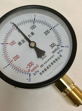 +-3kpa +-300mmh2o 膜盒压力表 YZE-100 直径100mm 螺纹m20x1.5