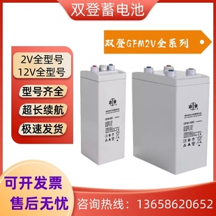 双登蓄电池GFM 2V300AH2V500AH2V600AH2V800AH直流屏机房基站 200