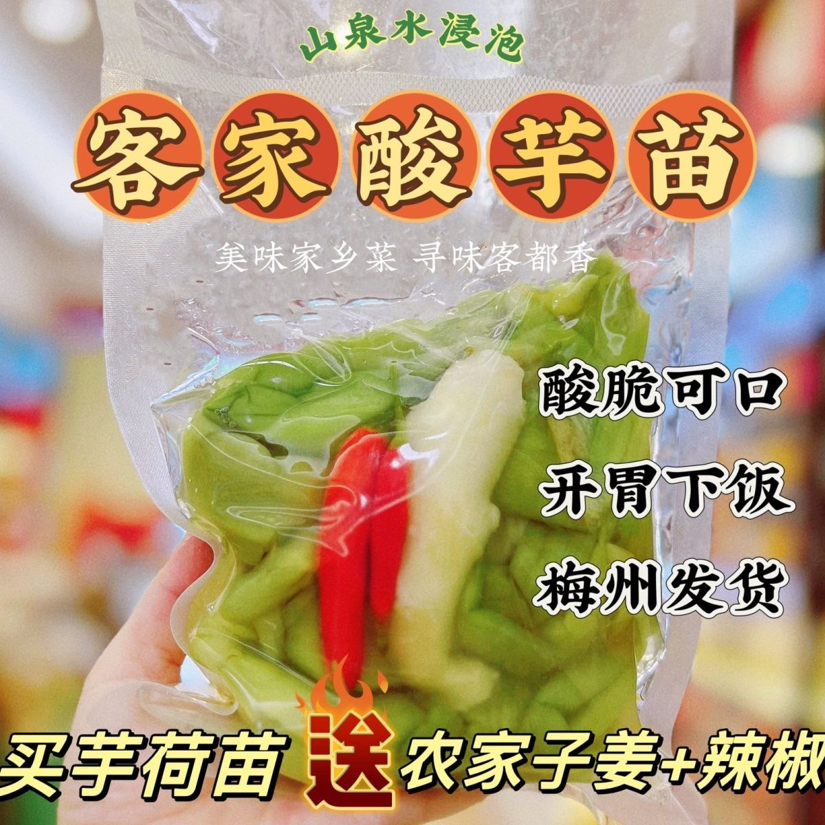 【新鲜浸制】客家浸芋荷苗浸子姜黄陂腌芋禾苗酸辣芋荷梗梅州特产
