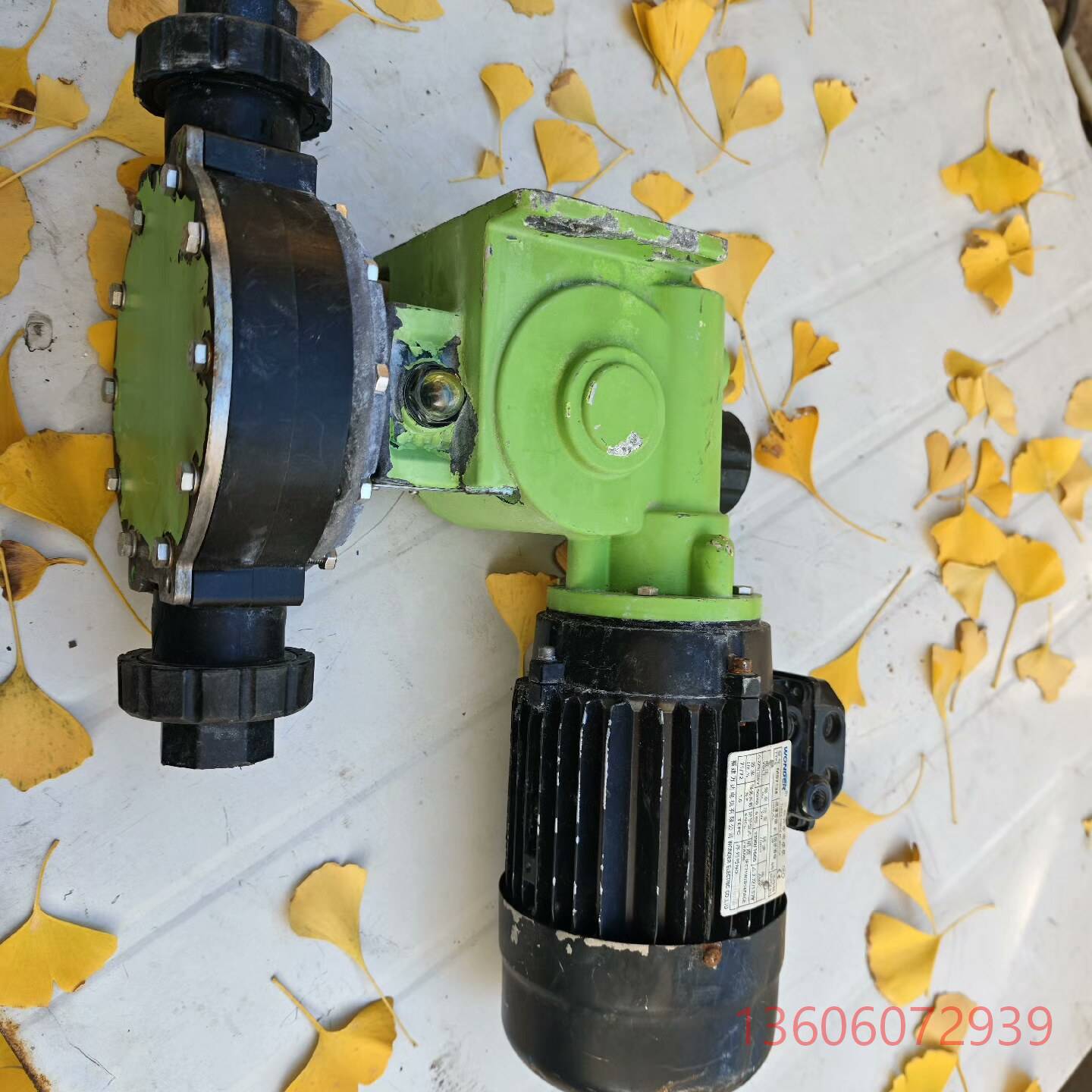 维修帕斯菲达 PULSA GLM  DM4DYPB FRAME议价