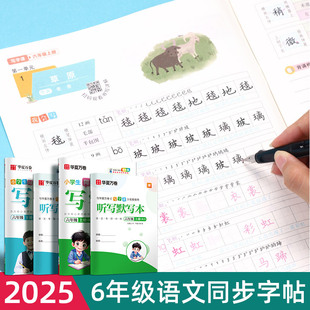 六年级上册下册同步字帖语文新版 上册练字小学生专用笔画笔顺描红下册衡水体英语写字课每日一练楷书硬笔钢笔书法临摹练字帖 人教版