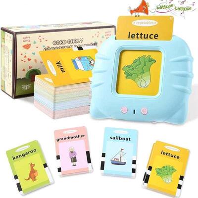 Educational Learning Talking Flash Cards Kindergarten Kids E