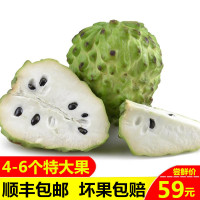 台湾凤梨释迦果5斤装大果 新鲜进口水果番荔枝超大佛头果孕妇水果