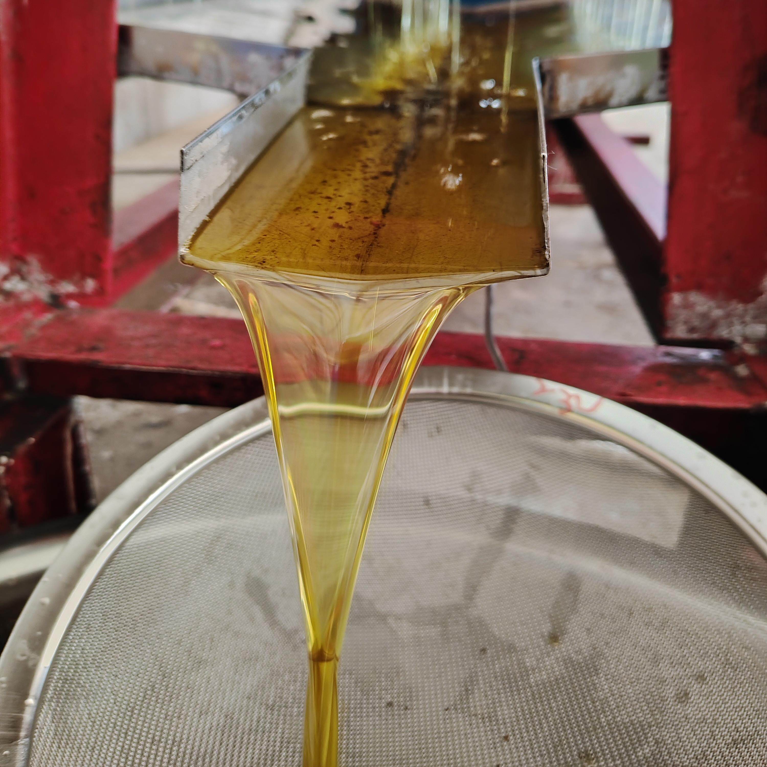 湘西高山野生山茶籽油