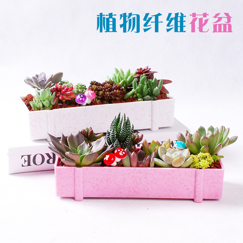 植物纤维多肉花盆 长方形创意多肉组合套装 花盆多肉植物塑料花盆