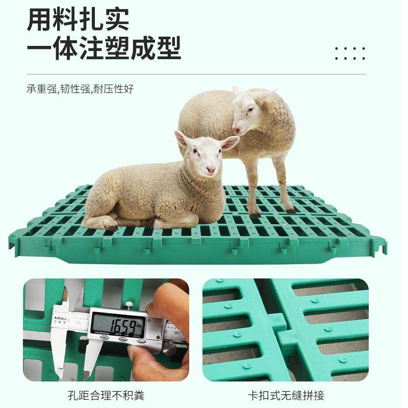 新疆西藏包邮羊用漏粪板加厚羊粪漏粪板养殖场羊圈羊棚羊舍塑料羊
