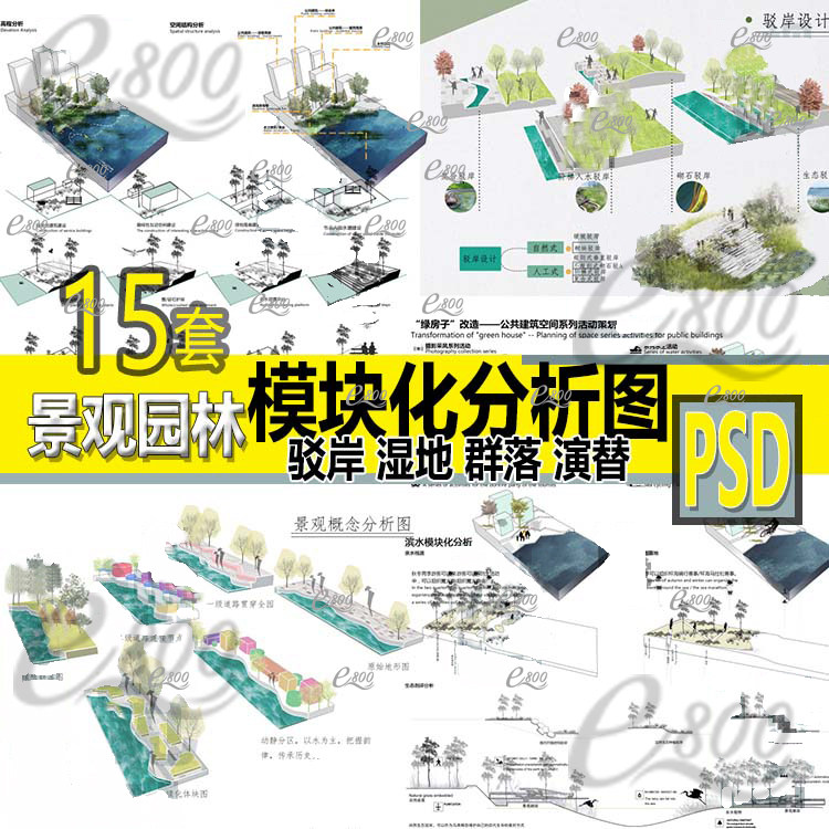 景观模块分析图psd分层 湿地群落演替 驳岸生态滨水断面设计