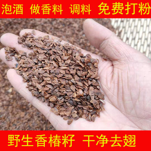 另售香椿果 野生香椿籽 泡酒药材500克 香椿籽粉 香椿花 香椿树籽