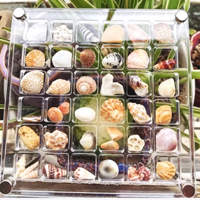 贝壳相框美甲钻盒饰品装饰盒格子