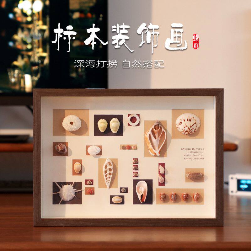 贝壳工艺品相框天然贝壳海螺标本挂画手工艺品摆件相框diy制作家