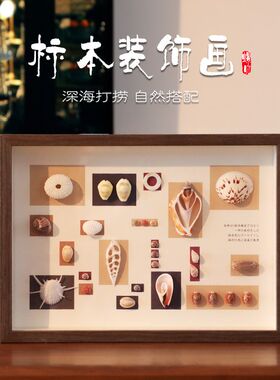 贝壳工艺品相框天然贝壳海螺标本挂画手工艺品摆件相框diy制作家