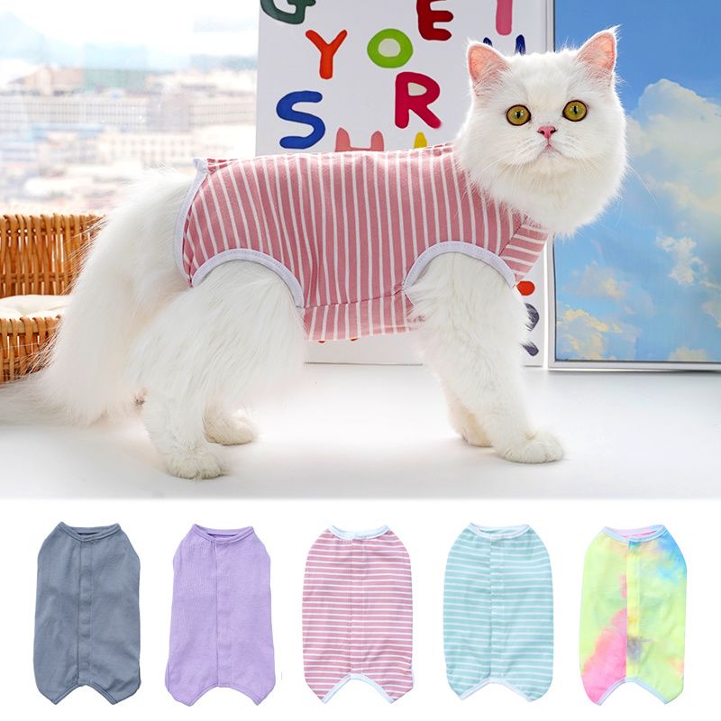 母狗绝育术后服宠物绝育服纯色四脚衣服狗狗猫咪小中型犬术后绝育