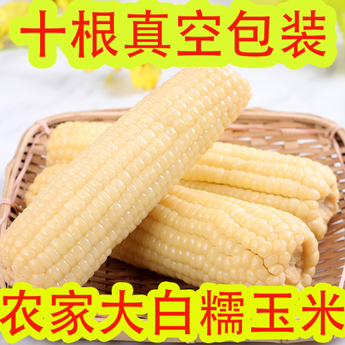 东北新款黑龙江省特产真空白玉米