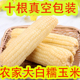 东北新款 黑龙江省特产粘糯真空独立包装 白玉米甜糯农家苞米棒粗粮