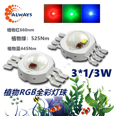 植物rgb灯珠3w大功率6脚8脚红绿蓝全彩RGBW草缸帕灯景观照明灯珠