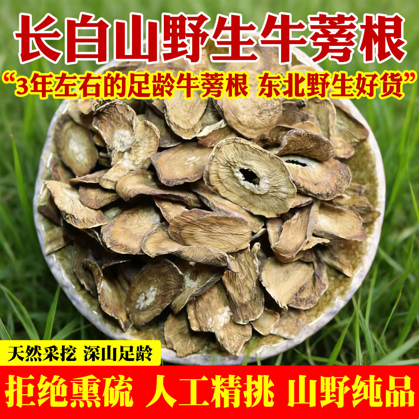 东北长白山天然野生牛蒡根中药材新鲜茶牛蒡根片养肝茶神牛根清火