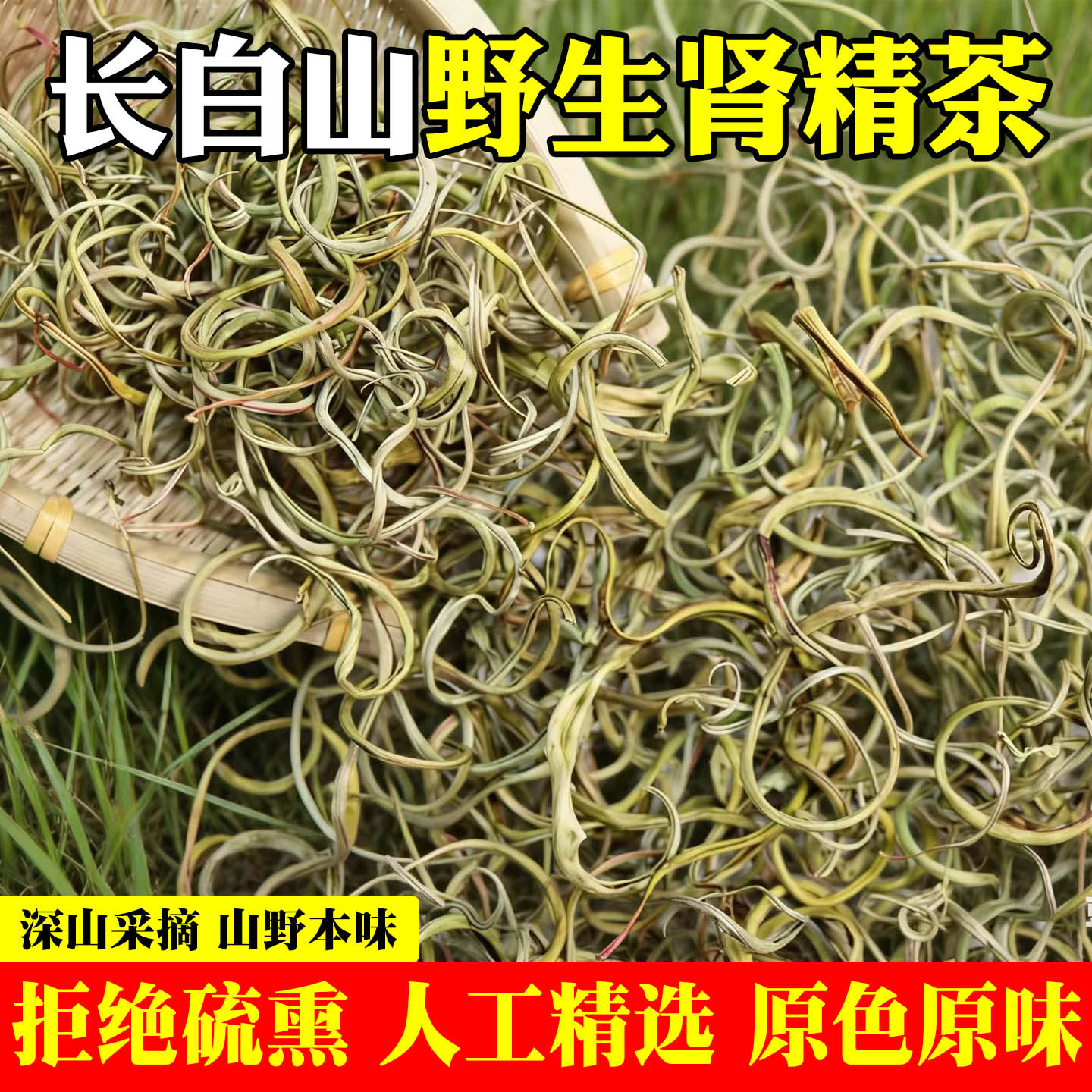 长白山野生嗷嗷叫肾精茶黄金草神经茶石韦草小叶无根泡水喝中药材