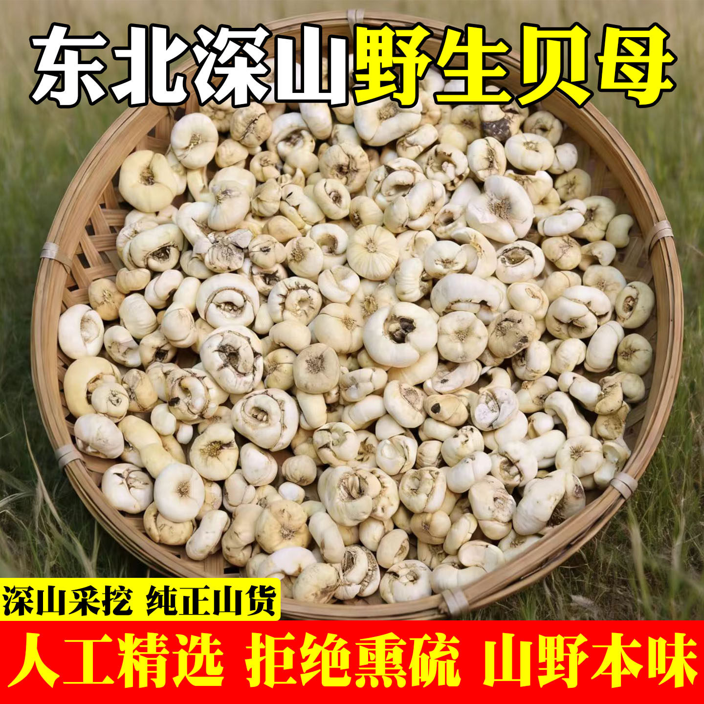 东北野生贝母中药材无硫长白山野生平贝母正品止咳煲汤炖梨汤打粉