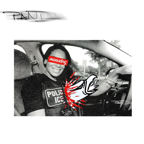 Supreme 20FW ANTIHERO ICE Balcony Sticker 联名 贴纸老鹰贴画