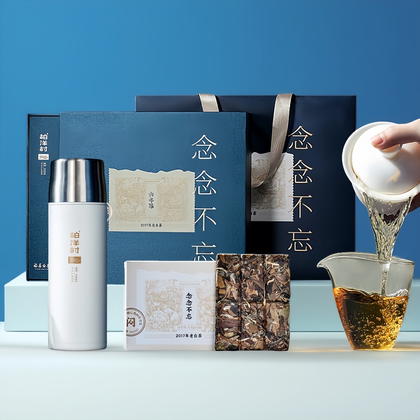 柏洋村老白茶寿眉茶杯福鼎大白茶