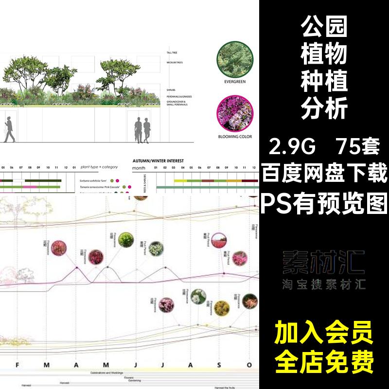 园林景观植物种植分析PS有预览图群落植物配置种植分析石树素材