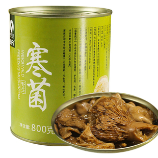食用更方便 巍齊寒菌野生菌子樅樹菌松乳菇野雁鵝菌樅樹菇煲湯罐裝
