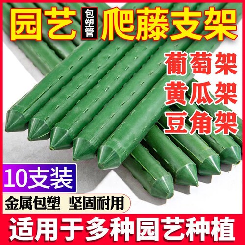 葡萄架杆子