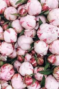 【芍药】CANDLEWORKS香薰精油香薰蜡烛DIY材料蜡烛香精香料1组